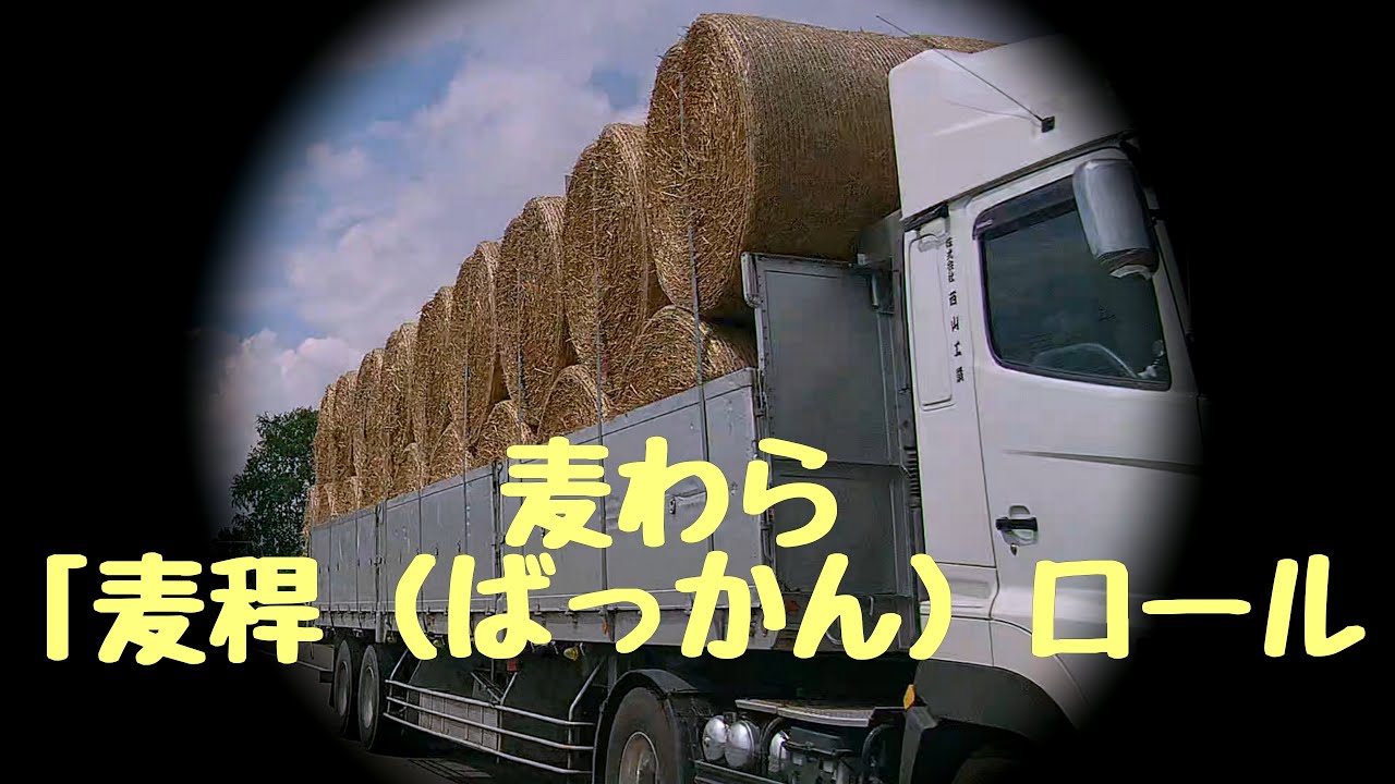 麦わらロールを満載したトラック連続！ 正式名称「麦稈（ばっかん 