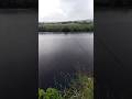 salmon fishing... #asmr #fishing #rain #ireland #nature #outdoors