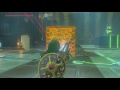 Botw the whole picture shrine