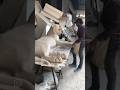 Animal sculpture #artistartwork #artandcrafts #tigersculpture #smallbusiness