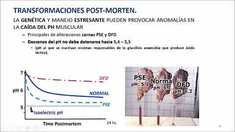 ¿Qué carne no necesita refrigeración?