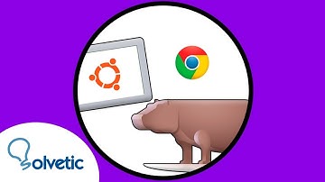 ✔️ How to INSTALL CHROME on UBUNTU 21.04 | Hirsute Hippo