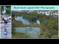 Black Duck Lagoon Bird  Photography 28th September 2021