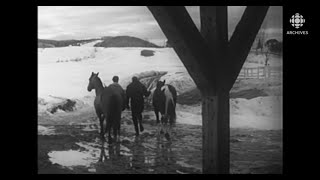 JeanPierre Ferland et son amour des chevaux en 1965