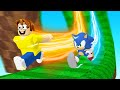 ROBLOX SONIC SPEED SIMULATOR!