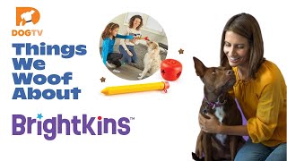 Things We Woof About: Brightkins Interactive Pet Puzzle