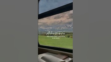 #المنشاوي سورة السجدة تلاوة هادئة ❤️‍🩹
