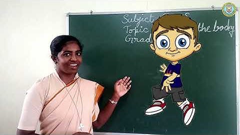 Bridge Course : Grade 1 - Environmental Science - Parts of The Body