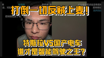 特斯拉VS国产电车，谁才是智能驾驶之王？打倒一切反贼上麦！