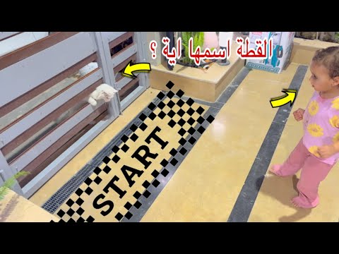 بيبي اصالة لما شافت القطة عملت اية واسم القطة غريب جدا