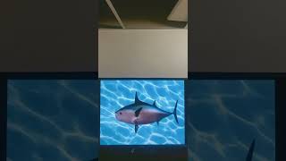 Spongebob Intro Fandub French Chatgpt