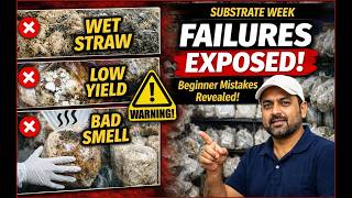 🍄 DAY 21 | Substrate Week Mega Q&A + Failure Case Studies | Mushroom Farming LIVE