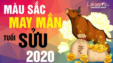 Tử Vi Tuổi Sửu 2020 Canh Tý Chọn Màu Nào Để Cả Năm Tiền Đầy Túi Tình Đầy Tim - Tử vi 12 Con Giáp