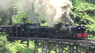 Double Garratts at Puffing Billy