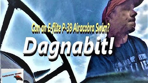 E-flite P-39 Airacobra takes off with geese into the water!