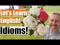 Let's Learn English Idioms on the Farm! A Fun Way to Learn Idioms!