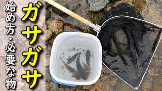 【初心者必見】川の魚捕りガサガサのやり方完全攻略ガイド！方法・場所選びのコツ・必要な道具まで徹底解説