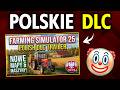 POLSKIE DLC - Czarny Pan grilluje #6