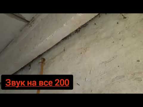 Мы с другом нашли на заброшенной ферме летучих мышей но они не вылазили от туда у них там гнездо