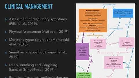 Community Acquired Pneumonia concept map