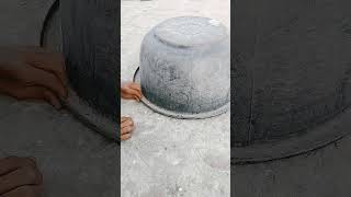 amazing kabootar#shorts #viral #trending #video #shortsfeed