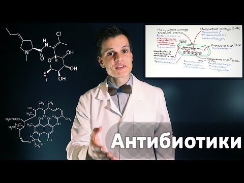 Умный Медик [УМ] - Механизм действия Антибиотиков. Базовое видео по фармакологии.