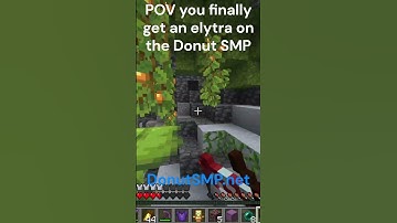 POV You Finally Get An Elytra..  (Donut SMP)