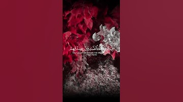 من المؤمنين رجال صدقوا ما عاهدوا الله عليه | سورة الأحزاب