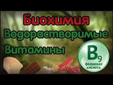 Видео: Витамин В9 - основни функции в човешкото тяло