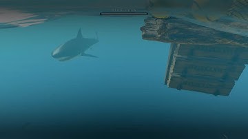 Have I Ever Told You About The Time I Almost Became Fish Food? Stranded Deep Without A Compass Week3