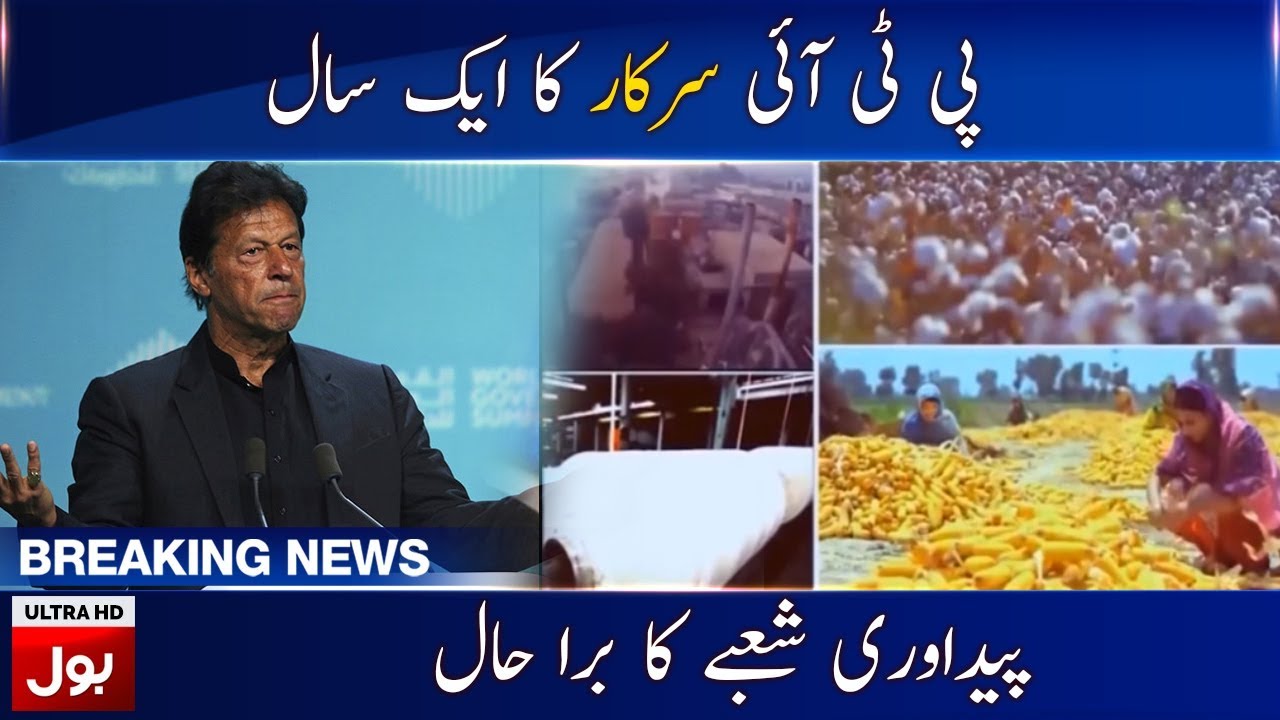 Opinion: Imran Khan — one year of stumbling ineptitude | BOL NEWS