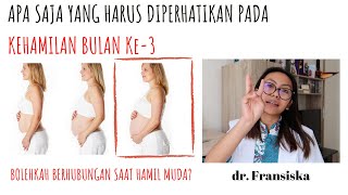 KEHAMILAN BULAN KE-3 | BOLEHKAH BERHUBUNGAN SUAMI ISTRI ?