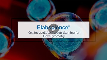 Cell Intracellular Targets Staining for Flow Cytometry