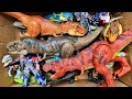 Hunting Dinosaur Jurassic World Toy In The Box ASMR Review