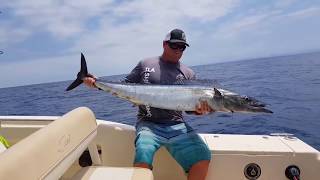 Crazy Gold Coast Fishing, Marlin, Wahoo Madness