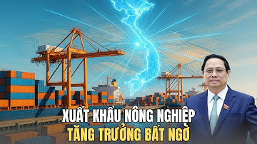 70 Tỷ USD Xuất Khẩu Nông Nghiệp: Vì Sao Việt Nam Tăng Tốc Mạnh Mẽ?