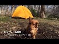 登山テントの設営 モンベルステラリッジテント3型
