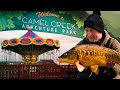 CARP FISHING in a Theme Park! Day Session Carp Fishing At Camel Creek Adventure Park! Mainline Baits