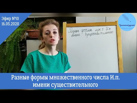 Русский язык | Формы именительного падежа множественного числа существительного. Инфоурок.