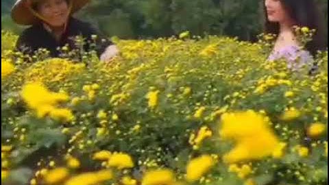 rất hay hai nghệ nhân hát phong slư tự biên.bài ước hẹn mùa xuân.