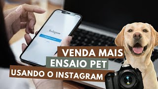 Dobre suas vendas no Instagram:  Conteúdo de impacto para Fotógrafos Pet