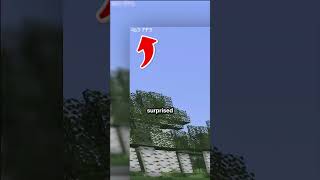 Minecraft Modpack Reviews - Performium ⚡ #minecraft #sodium #realistic #minecraftshorts #shaders