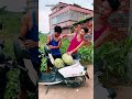 “Bro… how are we supposed to fit all #usashorts #viral #usa #us #viralvideos #viralvideo