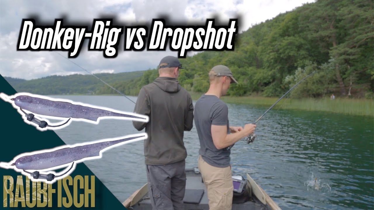 Donkey-Rig vs Dropshot am Barsch-See