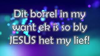 DIT BORREL IN MY / Die borrelliedjie lirieke - Jan de Wet en die loflaaities