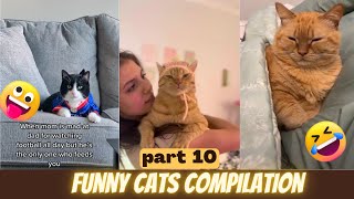 THE BEST CUTE AND FUNNY CAT VIDEOS - funny cats compilation by cats angels 30,469 views 1 year ago 9 minutes, 51 seconds