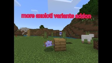 color axolotl buckets - | more axolotl variants addon V3 | in minecraft