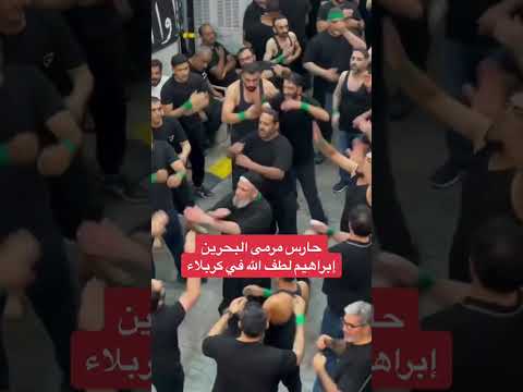 حارس مرمى البحرين لطف الله يلطم على الحسين