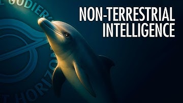 What We Know About Dolphin Minds with Dr. Diana Reiss