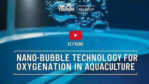 Nano-bubble Technology for Enhanced Oxygenation in Aquaculture